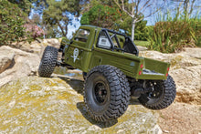TEAM ASSOCIATED Enduro Ecto Trail Truck, green RTR #40117