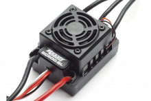 TEAM ASSOCIATED Trophy Rat 1/10 2wd Brushless Truck RTR #70019