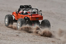 Team Corally - MOXOO XP - 1/10 Desert Buggy 2WD - RTR - Brushless Power 2-3S - No Battery - No Charger