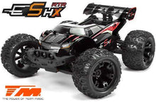 TEAM MAGIC E5HX BRUSHED 1/10th Truck