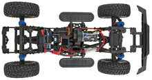 TEAM ASSOCIATED Enduro12 Trail Truck Ecto Ready-To-Run #ASS40010C