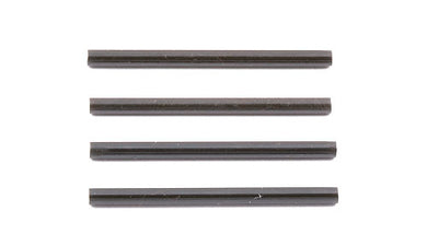 Team Associated TC4 Inner Hinge Pins