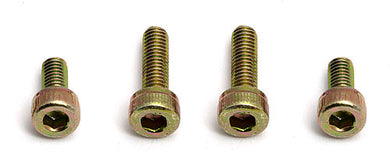 Team Associated Motor Mounting Screw, 3mm #ASS6515