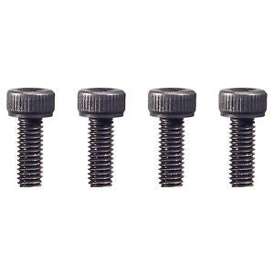 Black Plate Screws # FP-S023